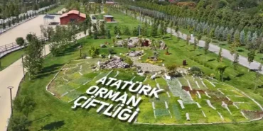 Ataturk-Cocuklari-Dogal-Yasam-Parki-5