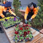 2026_02_04_Park Bahçeler_Çansera Üretim (1)